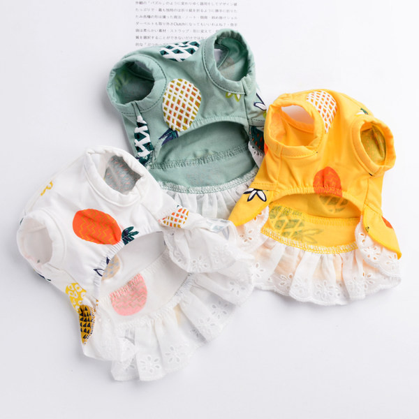 Fusta moderna pentru caini in doua modele