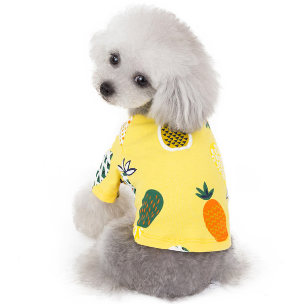 Îmbrăcăminte colorată cu aplicație pentru câini