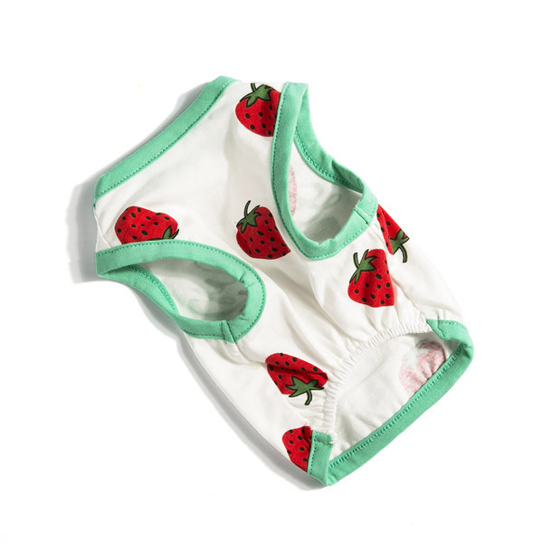 Ρούχα με απλικέ - δύο μοντέλα