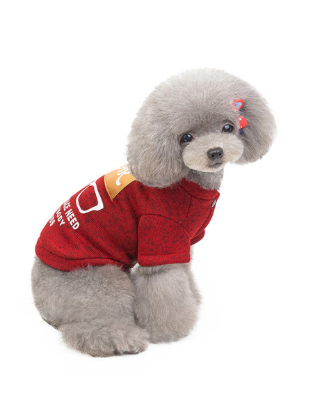 Vesta moderna cu nasturi si aplicatie pentru caini