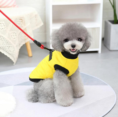 Sügis-talvine tepitud vest koertele