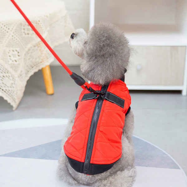 Sügis-talvine tepitud vest koertele