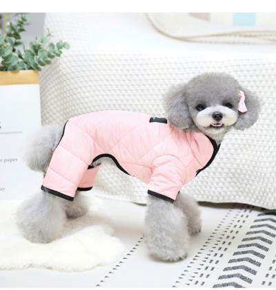 Moderns kažoka modelis suņiem