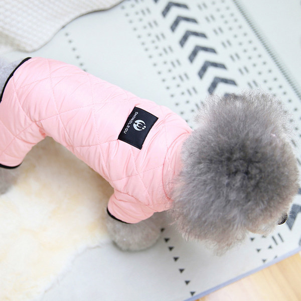 Moderns kažoka modelis suņiem