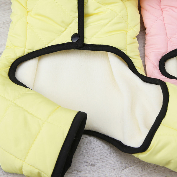 Moderns kažoka modelis suņiem