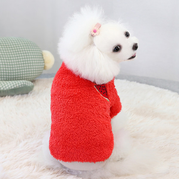 Värvilise tikandiga udusoe pluus koertele