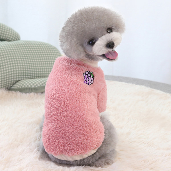 Värvilise tikandiga udusoe pluus koertele