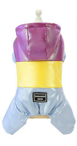 Kaasaegne kapuutsiga mantel koertele