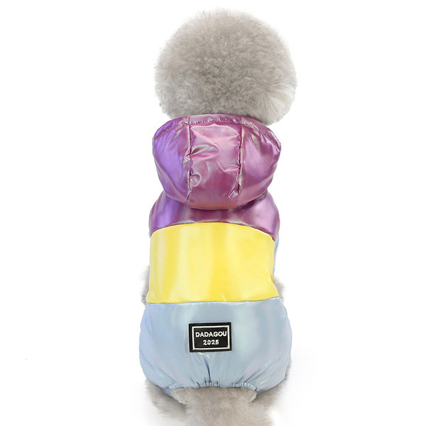 Kaasaegne kapuutsiga mantel koertele