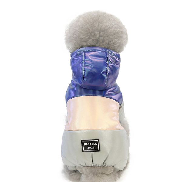 Kaasaegne kapuutsiga mantel koertele