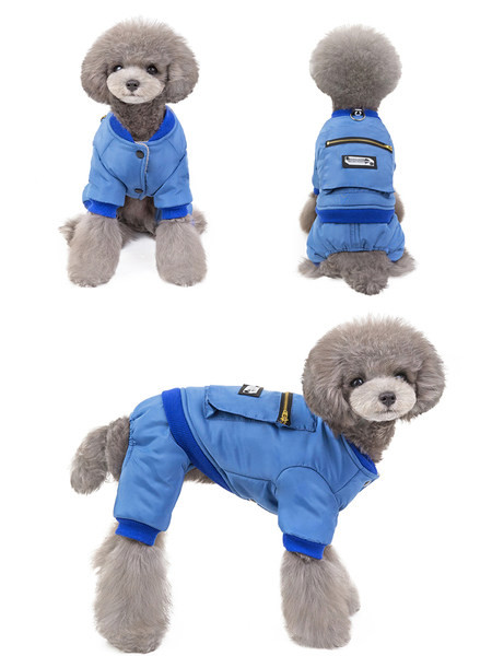 Гащеризон за кучета в два  цвята