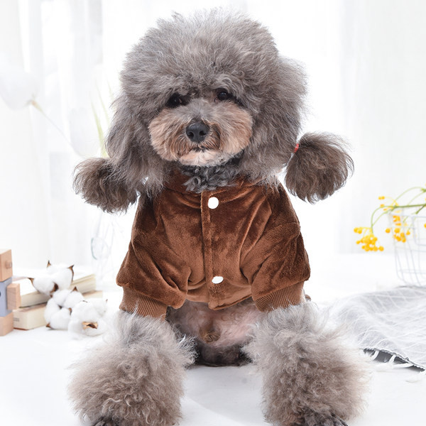 Koeratikandiga plüüsis rõivas