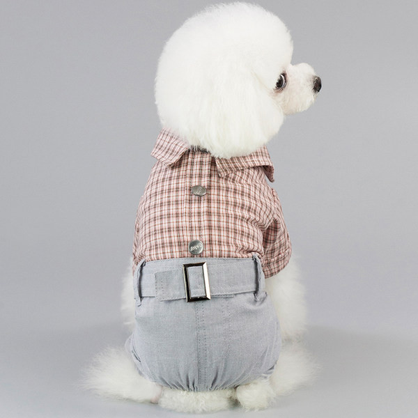 Cămașă și pantaloni în carouri pentru câini