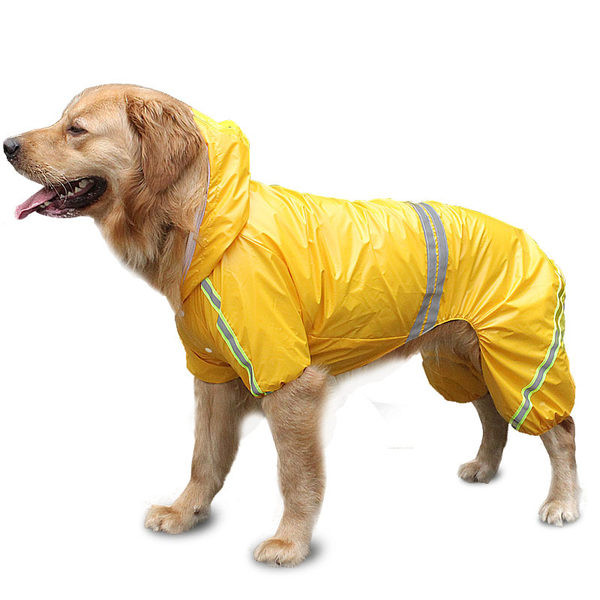 Kolmes värvitoonis vihmamantel koertele