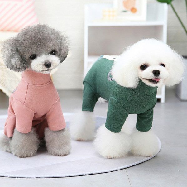 Nööpide ja trükiga koerariided