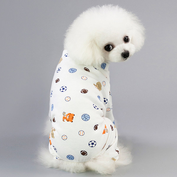 Värvilised kombinesoonid koertele