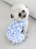 Moodne lillemustriga kleit koertele