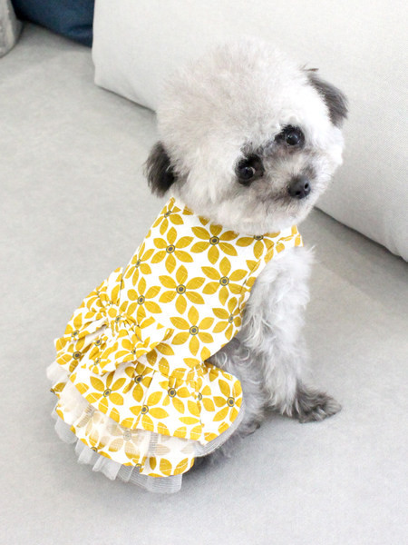 Moodne lillemustriga kleit koertele