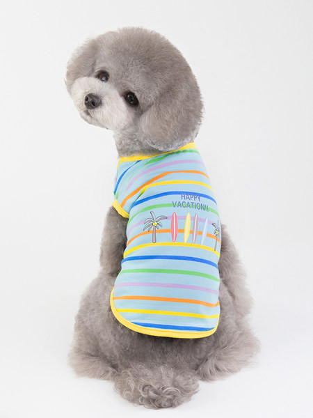 Îmbrăcăminte în dungi cu aplicație - pentru un câine