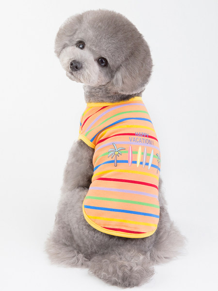Îmbrăcăminte în dungi cu aplicație - pentru un câine