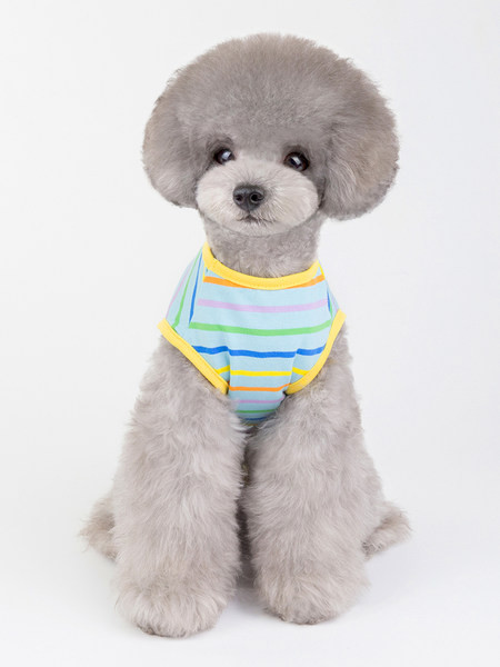 Îmbrăcăminte în dungi cu aplicație - pentru un câine