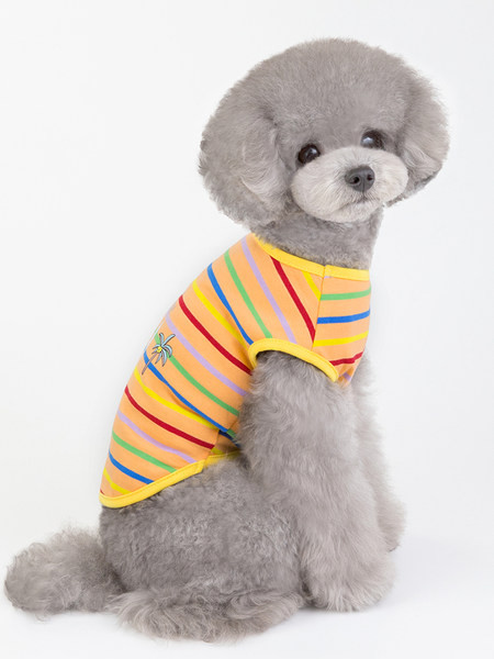 Îmbrăcăminte în dungi cu aplicație - pentru un câine