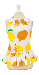 Μοντέρνο φόρεμα με στάμπα για σκύλους