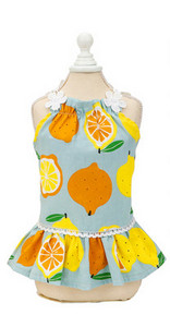 Μοντέρνο φόρεμα με στάμπα για σκύλους