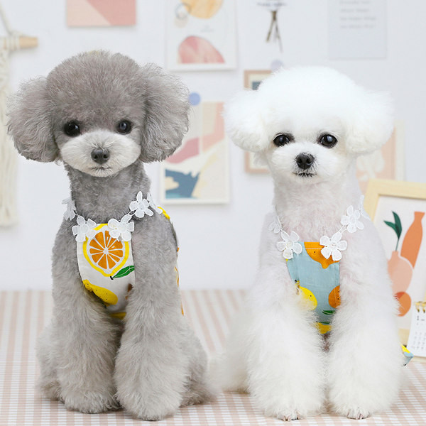 Μοντέρνο φόρεμα με στάμπα για σκύλους