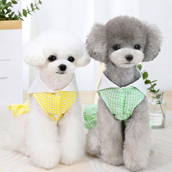 Ruuduline lokkidega kleit koertele