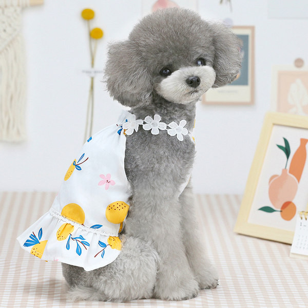 Kleita ar cirtām un aplikācijām suņiem