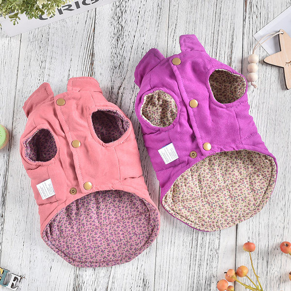 Haine cu inscripții pentru un câine