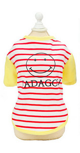 Triibuline aplikatsiooni ja pealdisega koerapluus