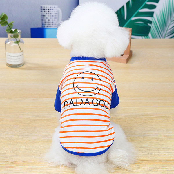 Triibuline aplikatsiooni ja pealdisega koerapluus