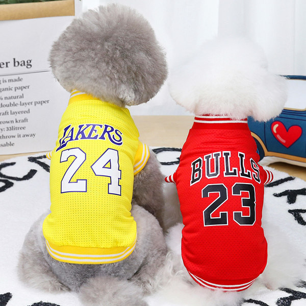 Bluză modernă în stil cățeluș cu inscripție