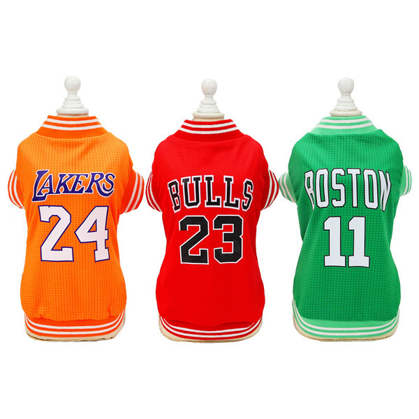 Bluză modernă în stil cățeluș cu inscripție