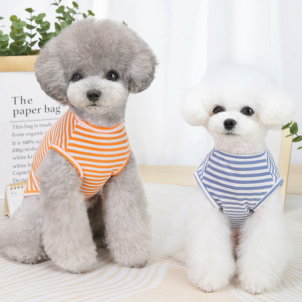 Bluză de vară în dungi cu aplicații