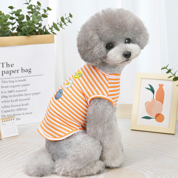 Bluză de vară în dungi cu aplicații