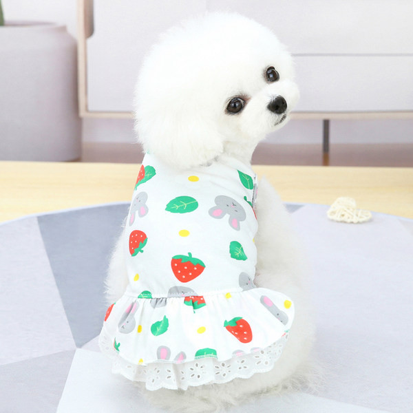 Moderna haljina za pse sa čipkom u dva modela