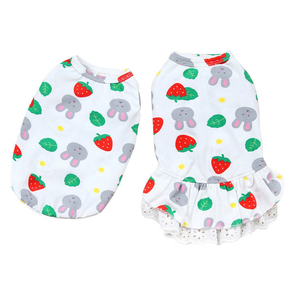 Moderna haljina za pse sa čipkom u dva modela