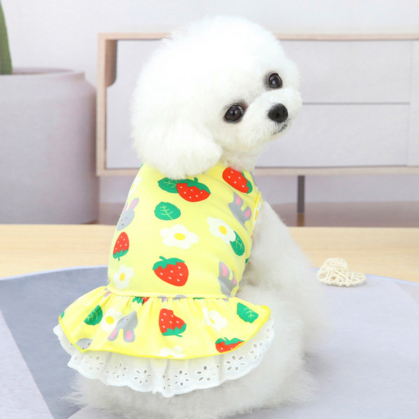 Moderna haljina za pse sa čipkom u dva modela