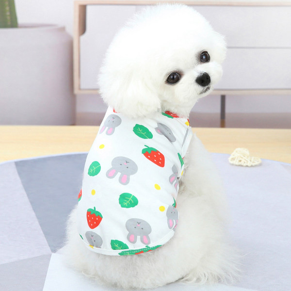 Moderna haljina za pse sa čipkom u dva modela