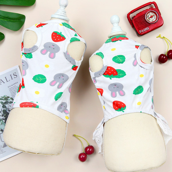 Moderna haljina za pse sa čipkom u dva modela