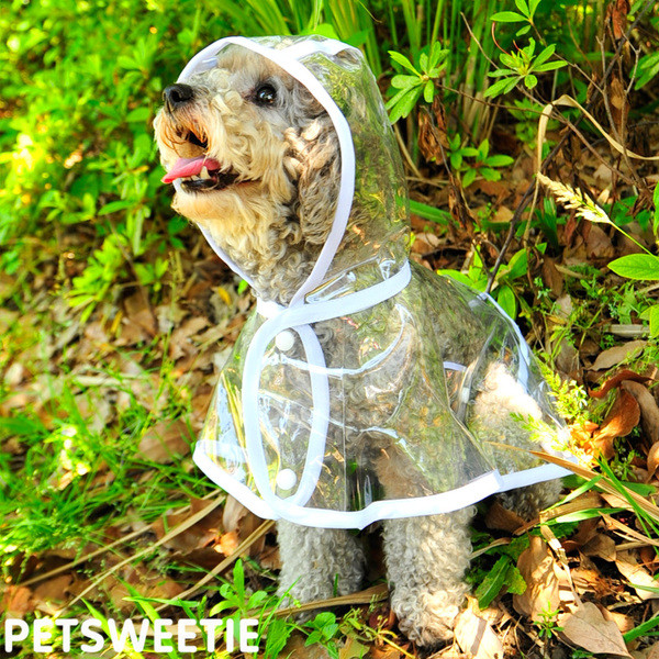 Kapuutsiga vihmamantel koertele