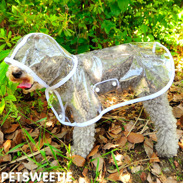 Kapuutsiga vihmamantel koertele