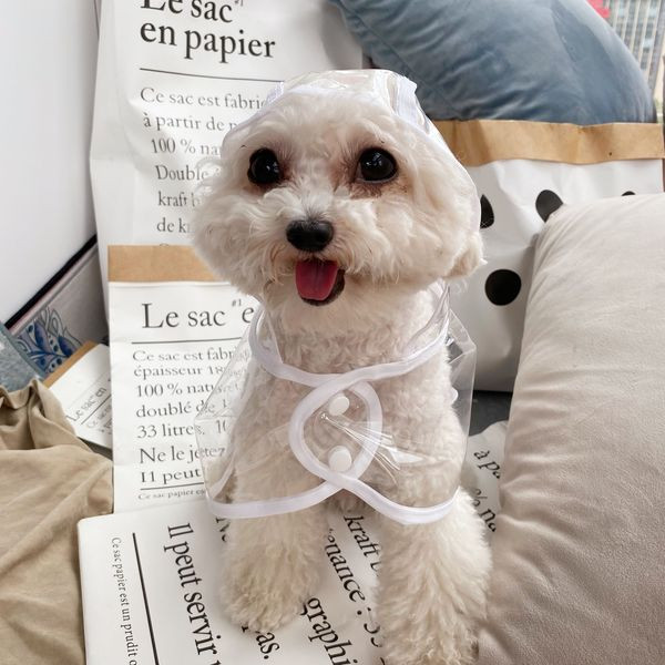 Kapuutsiga vihmamantel koertele