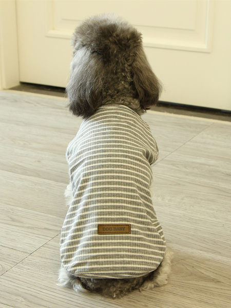 Bluză în dungi cu aplicație și inscripție pentru câini