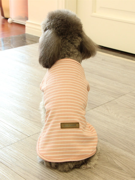 Bluză în dungi cu aplicație și inscripție pentru câini