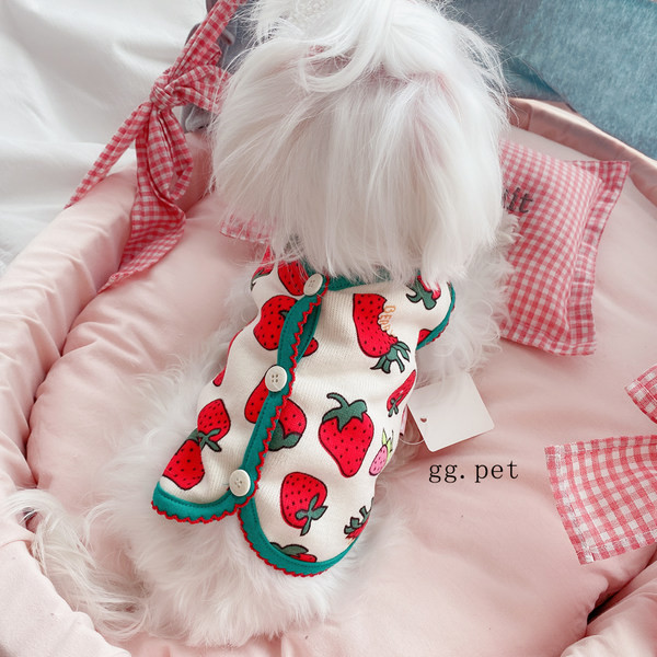 Haine colorate cu nasturi pentru caini