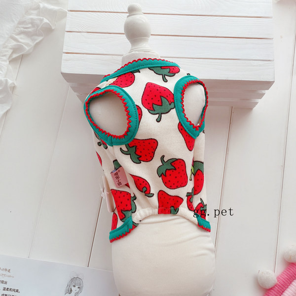 Haine colorate cu nasturi pentru caini